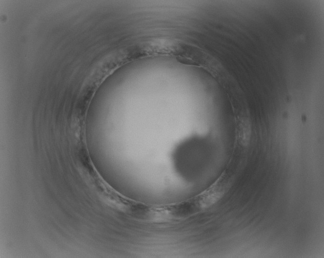 X0000052570701200507011221