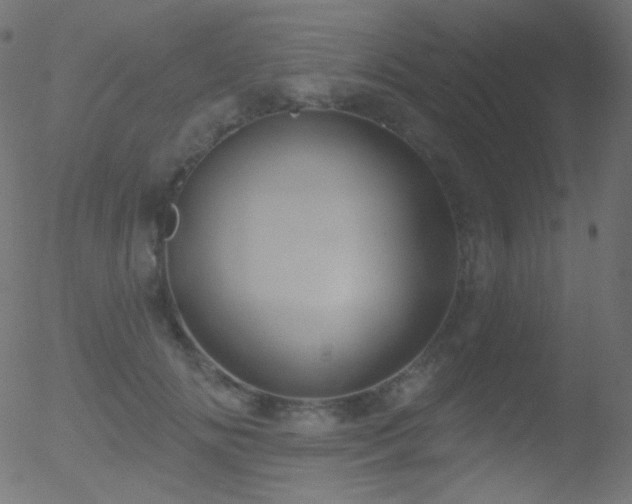 X0000052570702200507011221