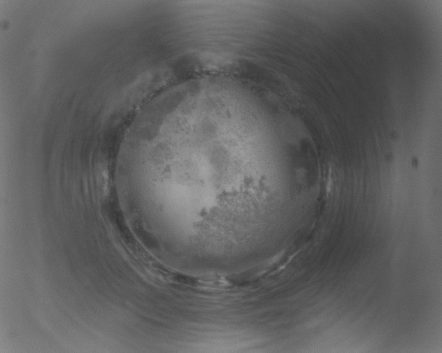 X0000052570703200507011221