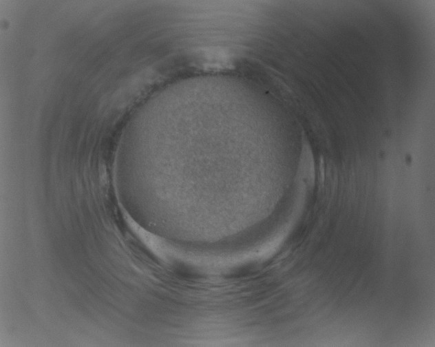 X0000052570704200507011221