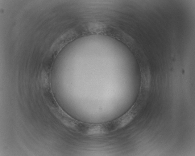 X0000052570705200507011221