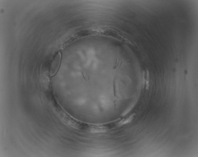 X0000052570707200507011221