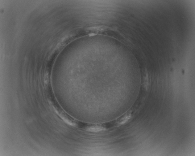 X0000052570708200507011221