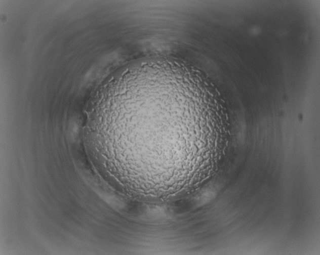 X0000052570709200507011221