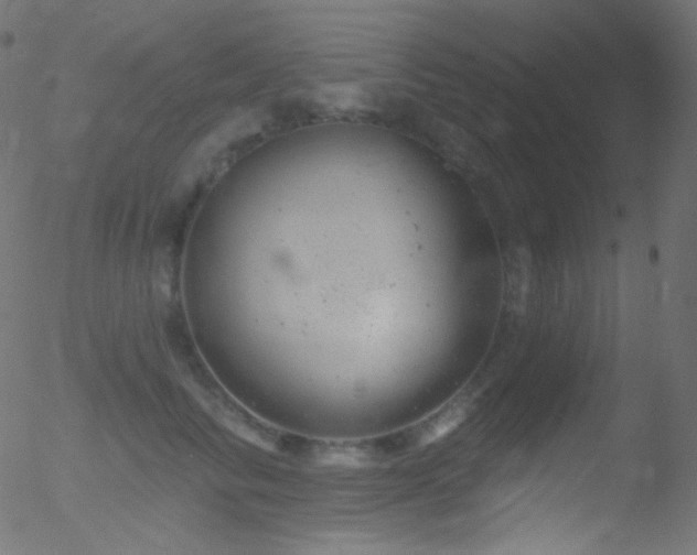 X0000052570710200507011221