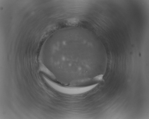 X0000052570711200507011221