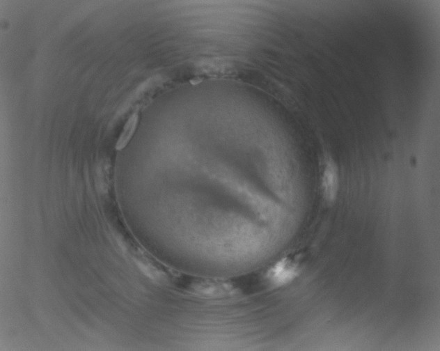 X0000052570712200507011221