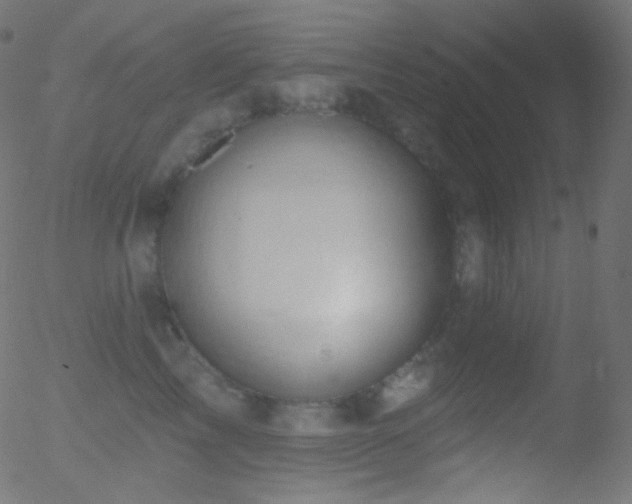 X0000052570713200507011221