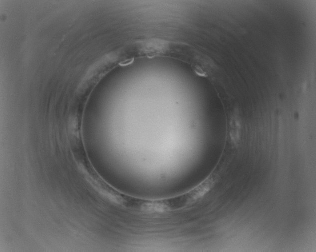 X0000052570714200507011221