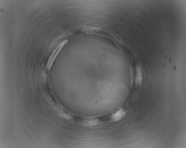 X0000052570716200507011221