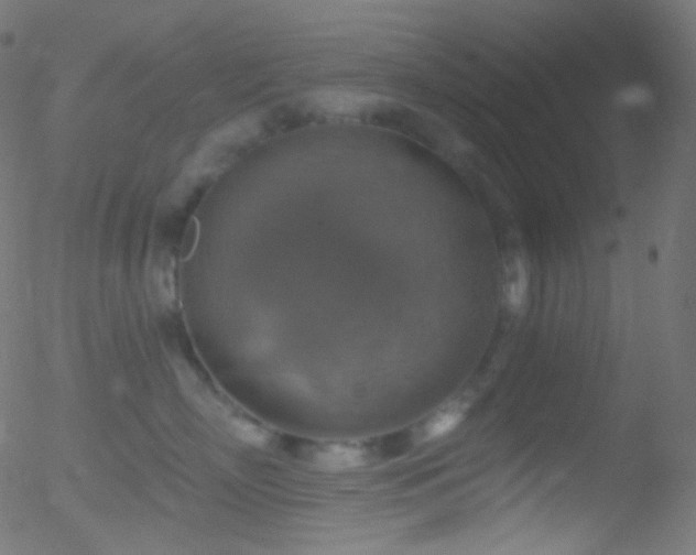 X0000052570718200507011221