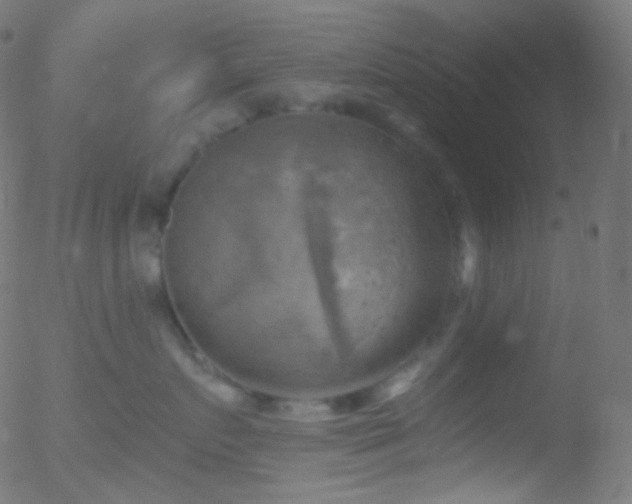 X0000052570719200507011221