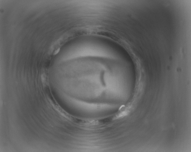 X0000052570720200507011221