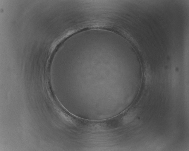 X0000052570721200507011220