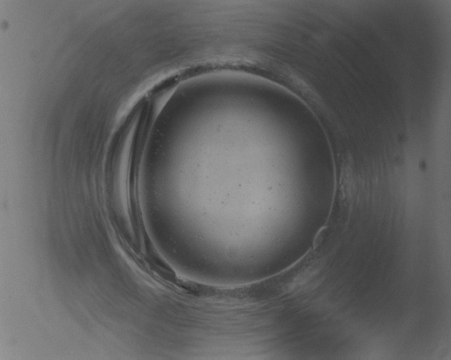 X0000052570722200507011220