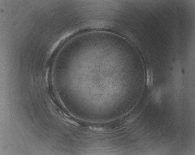 X0000052570723200507011220