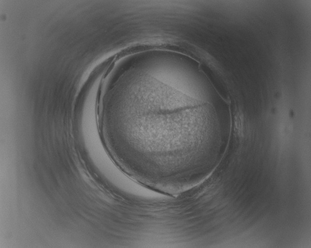 X0000052570724200507011220