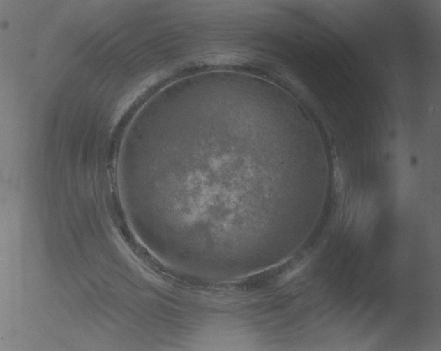 X0000052570725200507011220