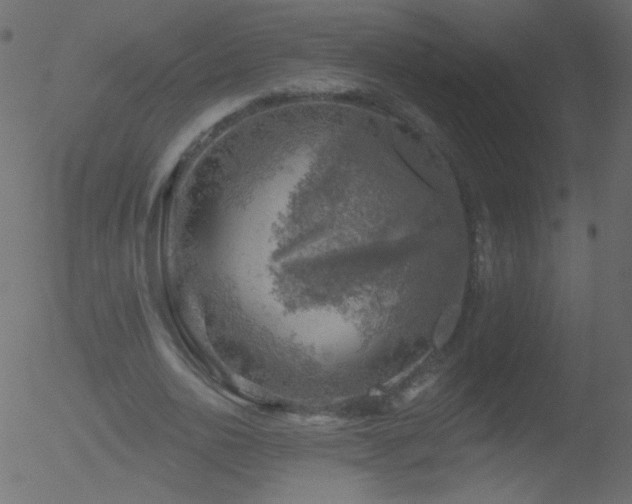 X0000052570726200507011220