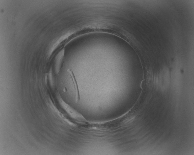 X0000052570727200507011220