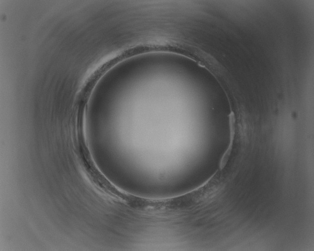 X0000052570728200507011220