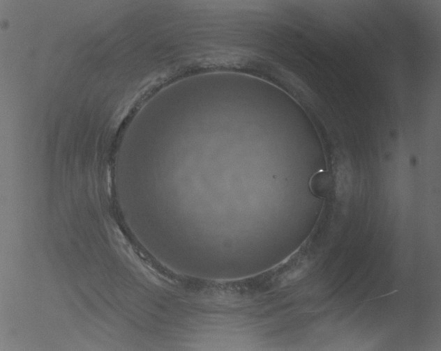 X0000052570729200507011220