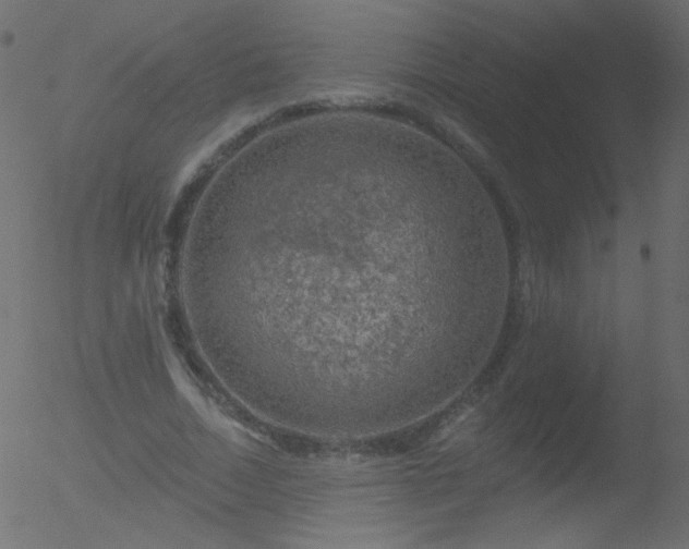 X0000052570730200507011220