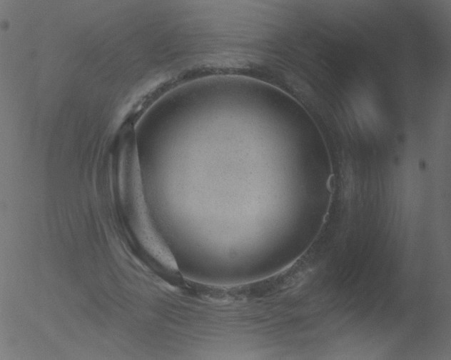 X0000052570731200507011220