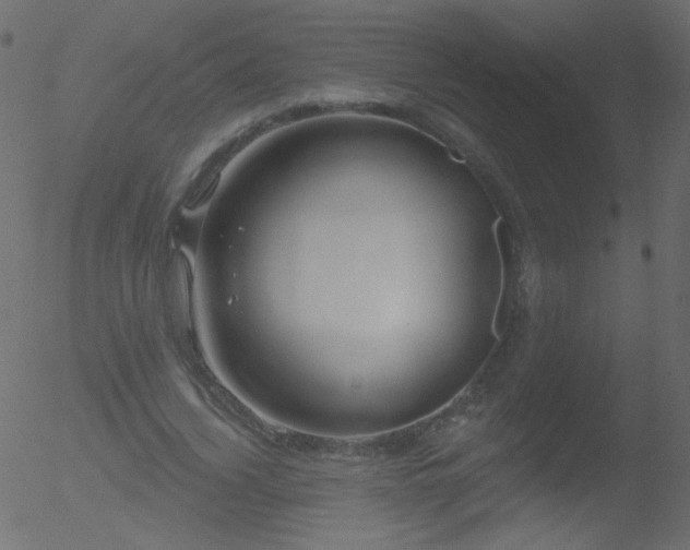 X0000052570732200507011220