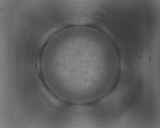 X0000052570733200507011220