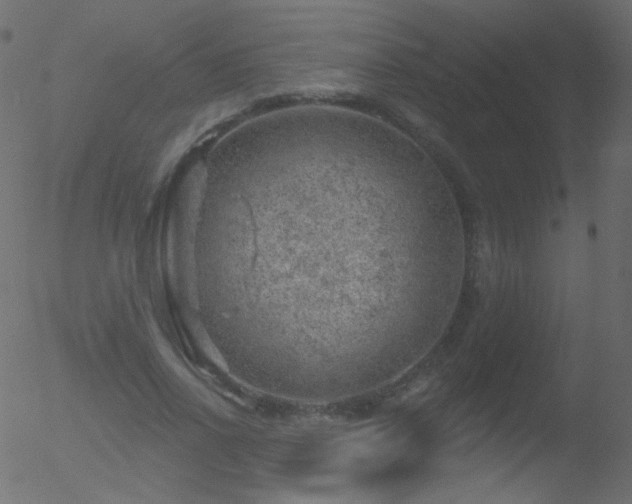 X0000052570734200507011220