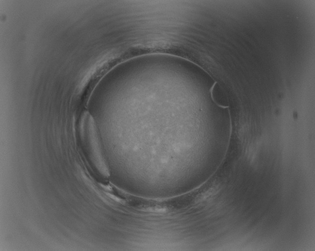 X0000052570735200507011220