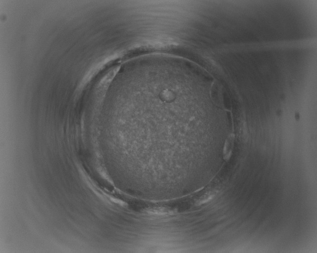 X0000052570736200507011220