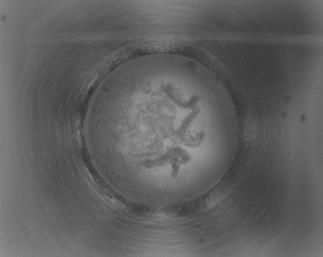 X0000052570737200507011220