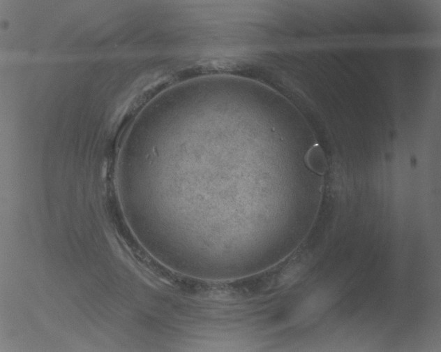 X0000052570738200507011220