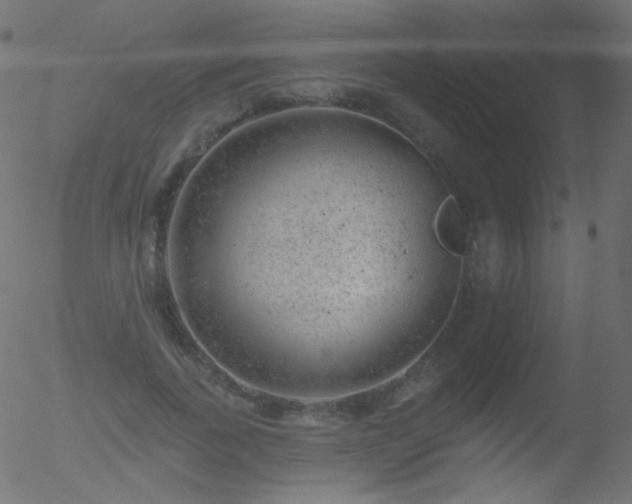 X0000052570739200507011220