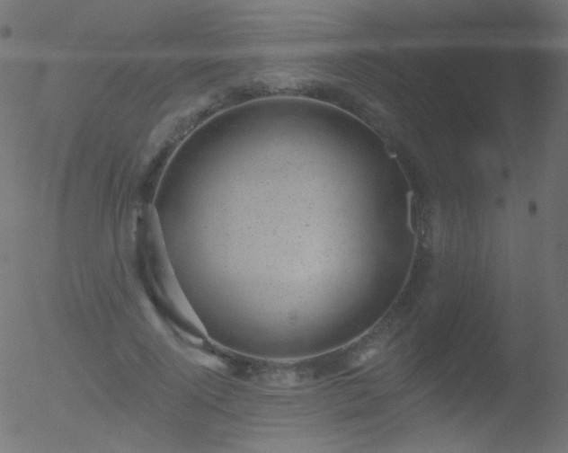 X0000052570740200507011220