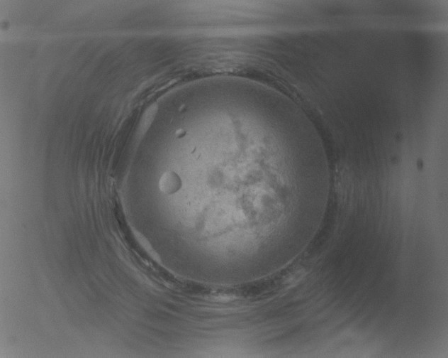 X0000052570741200507011220