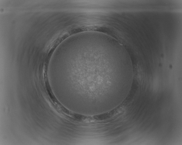 X0000052570742200507011220