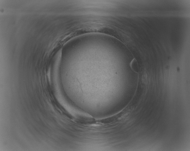 X0000052570743200507011220