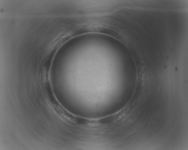 X0000052570744200507011220