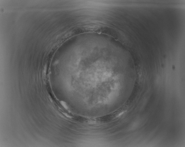 X0000052570745200507011220