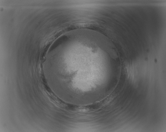 X0000052570746200507011220