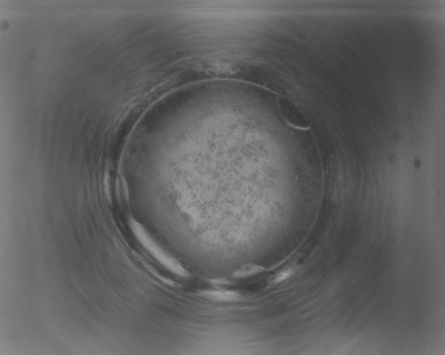 X0000052570747200507011220