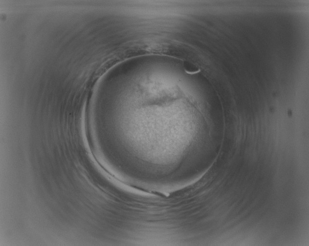 X0000052570748200507011220