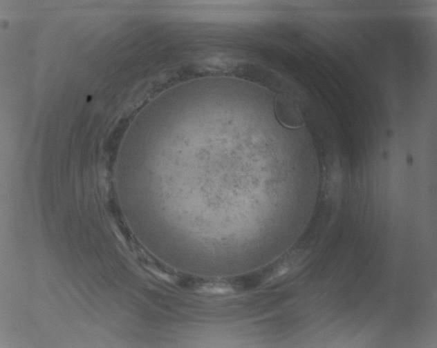 X0000052570749200507011220