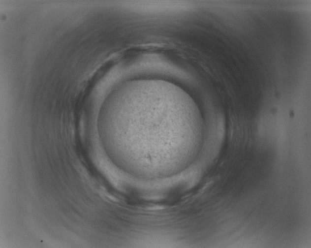 X0000052570750200507011220