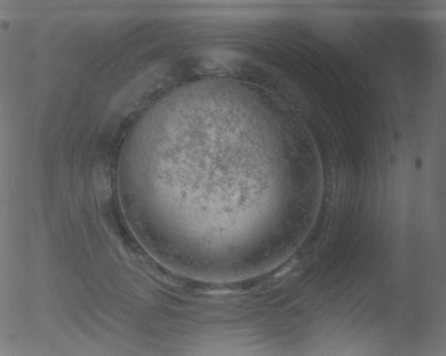 X0000052570751200507011220