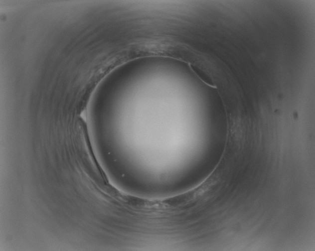 X0000052570752200507011220