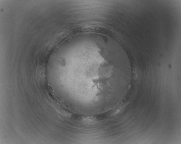 X0000052570753200507011220